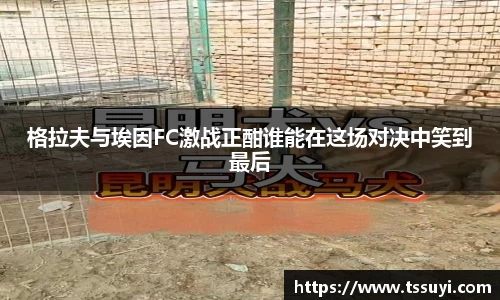 多多28网址