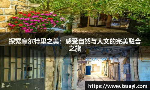 探索摩尔特里之美：感受自然与人文的完美融合之旅
