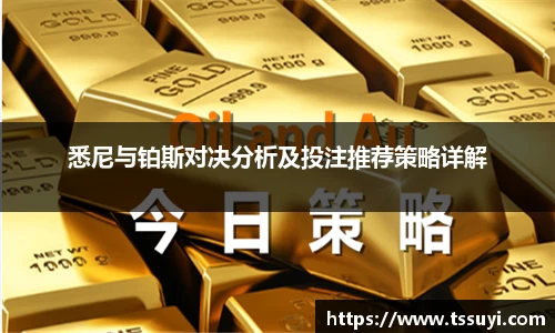 悉尼与铂斯对决分析及投注推荐策略详解