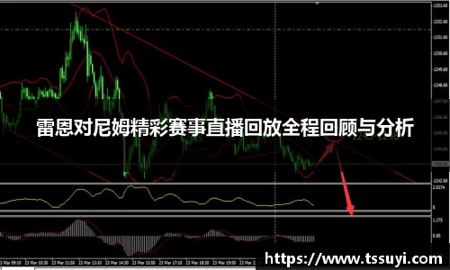 雷恩对尼姆精彩赛事直播回放全程回顾与分析