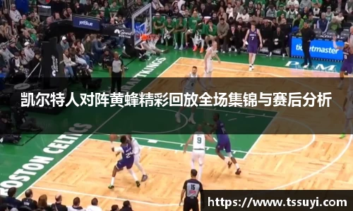 凯尔特人对阵黄蜂精彩回放全场集锦与赛后分析
