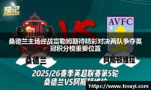 桑德兰主场迎战富勒姆期待精彩对决两队争夺英冠积分榜重要位置